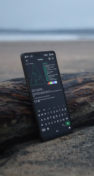 A OnePlus 6 running postmarketOS with Phosh leaning against driftwood on a beach